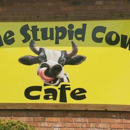 Stupid Cow Cafe