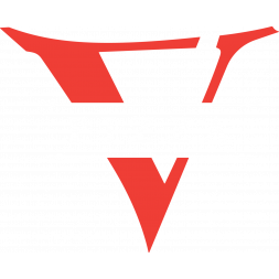 V Pizza